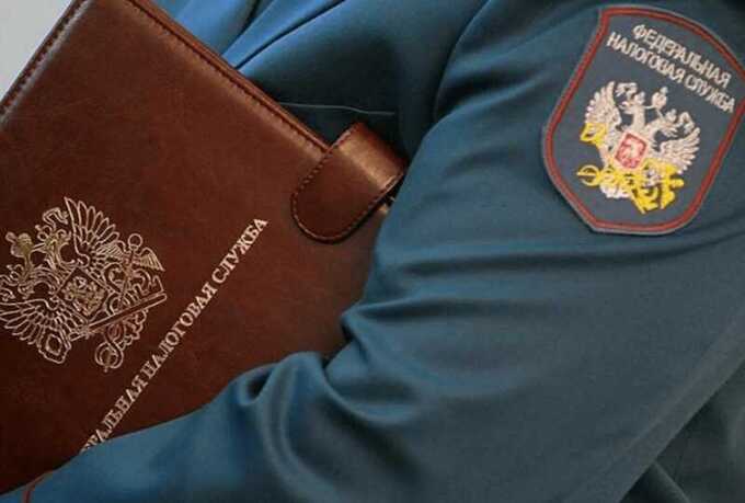 Серый кардинал Ольга Тарасова тайно контролирует налоговые проверки в Курганской области